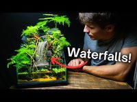 I Made a TRIPLE Waterfall Paludarium, Here’s How! - YouTube