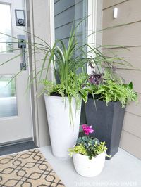 porch planters ideas