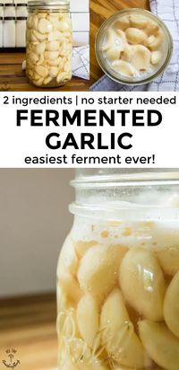 Fermented Garlic is the easiest ferment EVER! With just 2 ingredients and no starter culture required, you can preserve garlic through the magic of fermentation for a health-promoting food that can be added to your favorite dishes, dips, dressings, and used as a natural remedy! #allthenourishingthings #fermentation #garlic #westonaprice