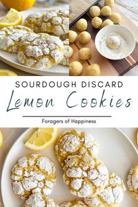 These sourdough lemon cookies are a bright and cheery sourdough cookie recipe that you can make any time of year. Make a unique Christmas cookie that will satisfy the lemon lovers in your life. This is a same day sourdough recipe but can also be made days ahead. All you need is a few ingredients for this sourdough crinkle cookie recipe using active sourdough starter or sourdough discard. These sourdough discard cookies are crisp on the outside and soft and gooey on the inside.