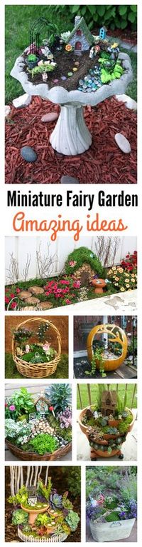 8 Amazing Miniature Fairy Garden DIY Ideas