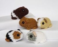 Newborn guinea pig – Free Crochet Pattern » The Homestead Survival