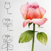 How to Draw a Rose