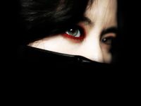 Sympathy For Lady Vengeance