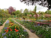 Teatime Journeys - Monet's Garden