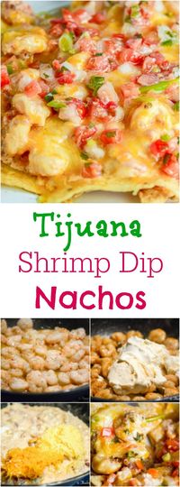 Tijuana Shrimp Dip Nachos are a cheesy, creamy, spicy, and crunchy appetizer. ~ http://FlavorMosaic.com