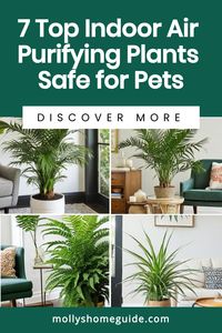 Looking to add some greenery to your home while keeping your pets safe? Check out these best indoor plants that are air purifiers and pet-friendly. These non-toxic houseplants are safe for dogs, cats, and kids. Create a healthier indoor environment with these pet-safe plants that help clean the air. Must-have indoor plants for any household looking to purify the air without compromising on the safety of pets and children.