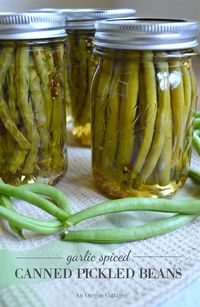 Full tutorial for garlic spiced canned pickled green beans recipe. These are perfect for salads, antipasto plates, appetizers and snacking - everyone loves them! #greenbeans #pickling #canning #anoregoncottage