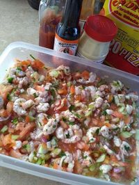 Authentic Mexican Shrimp Ceviche (Ceviche de Camarón) – TheirSearches