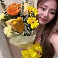 [account dedicated to twice] tzuyu twice selca icons Iq