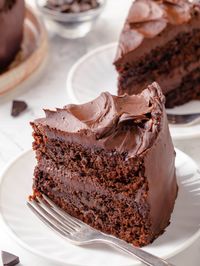 This simple, moist chocolate cake recipe makes a soft, tender cake rich in chocolate flavor! Topped with a silky chocolate fudge frosting!