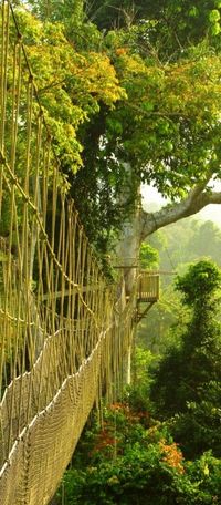 Kakum National Park, Ghana