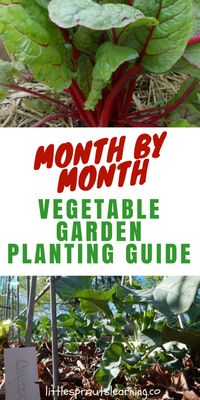 Month by Month Vegetable Garden Planting Guide - Little Sprouts Learning