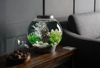 biOrb CLASSIC Indoor design elements with water by Oase #architonic #furnituredesign #interiordesign #productdesign #aquarium #homedecor #livingroom #homedecorlivingroom #lighting #tablelights #goldfishbowl