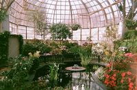 The Navy Pier Atrium in Chicago.  We went to an Alice in Wonderland tea party there before watching the new movie at the Imax!