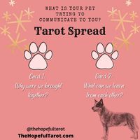 Using Tarot to Communicate with Pets — The Hopeful Tarot LLC