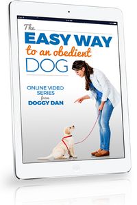 Dog Obedience The Quick And Easy Way