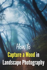 How to Capture a Mood in Landscape Photography. Tips for nature photographers to get more interesting and powerful photos by using elements like fog, mist, lighting, storms and bad weather, and shadows. You can get the right effect with the help of gear like neutral density filters, shooting a long exposure photo, or converting to black & white. #loadedlandscapes #naturephotography #landscapephotography #photographytips