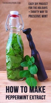 homemade peppermint extract - something I've been meaning to do for a long time. I've got a bunch of vanilla extract almost done - this is next!