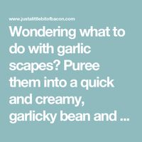 Wondering what to do with garlic scapes? Puree them into a quick and creamy, garlicky bean and garlic scape dip! Great as a healthy snack or for a party!