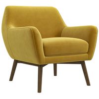 Penny Gold Velvet Armchair. Mid in Mod, the top seller of mid century modern furniture in Texas. Check out our wide variety of Velvet Lounge Chair. Finance and Delivery Options Available.