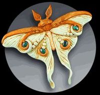 cforiginals luna moth