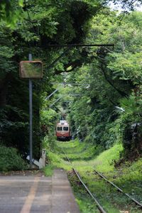 人里離れた鬱蒼としげる森の中にある秘境駅に、列車が乗り入れる瞬間は情緒満点です。秘境駅では、日本に鉄道が乗り入れたばかりの開拓時代を彷彿とさせるノスタルジックな雰囲気が漂っています。