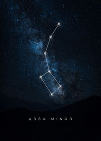 'Ursa Minor' Poster by Xavier Vieira | Displate