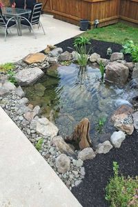 rain garden design ideas14