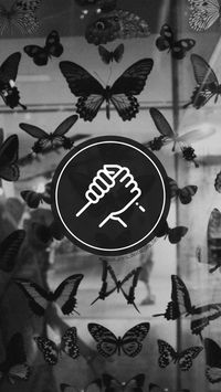 Capas para destaques do instagram tema " black butterfly " ( para mais complementação segue o insta @capas_para_destaques_liih)