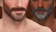 JDM Facial Hair | Patreon