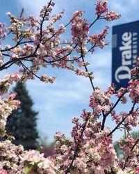 drake university campus spring - Google Search