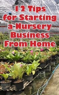 12 Tips for Starting a Nursery Business from Home - Countryside