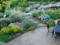 3 Landscape Design Ideas Inspired by the Denver Botanic Gardens - Lifescape Colorado