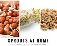 Why are Sprouts Great for you & The 5 Healthiest Sprouts to Eat