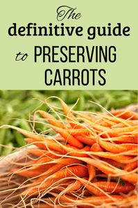 Store carrots in your garden, refrigerator, freezer, pantry, root cellar, and more - the definitive guide to preserving, storing and using carrots.