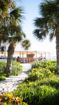 POV: You don’t have to spend hours searching for a Sarasota waterfront venue because we’ve compiled a list of them into one blog. Coordination & Design: @mdpevents Photographer: @kellyvanderploegphotography Videographer: @namesakecreative Florist: @victoriabloomssrq Venue: @weddingslongboatkeyclub Band: @ilovethisband @eastcoastentertainment Ceremony Musicians: @breezinentertainment Tabletop Rentals & Louis Chairs: @oakandashevents Bars & X-Back Chairs: @palaciosevents Linens: @bbjlatavola...