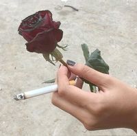 the 1975 aesthetic, cigarettes, born to die, the 1975 girl