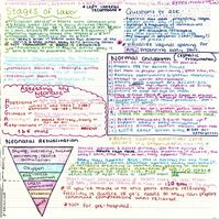 Colorful, hand written EMT chapter notes to make learning and retention more fun focusing on OBGYN emergencies & neonatal care!