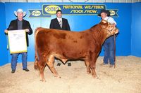 Reserve Grand Champion Heifer, National Western Stock Show 2013