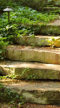 Front Entry Natural Stone Steps ~ Chilton Outcropping Step | #SNLscapes #LandscapeDesign #SRW #Stairs #Steps #Landscaping #Hardscaping #PaverTreads #HardscapeDesign #Minnesota #Switzers #NaturalStone #Stone