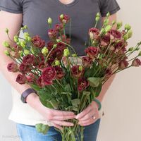 Brown Lisianthus Flower | DIY Wedding Flowers | Flower Moxie