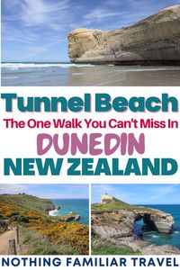 Not far from the busy city center of Dunedin New Zealand is the walk to Tunnel Beach no traveler should miss! Strolling along the stunning Dunedin New Zealand cliffs, you will witness a different side of the country’s stunning east coast. Let us break down everything to know with plenty of Tunnel Beach track pictures, tides info, and much more information on Dunedin New Zealand!