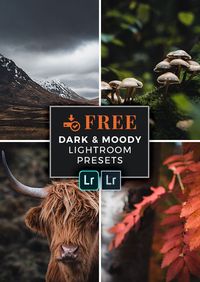 Download FREE Lightroom presets for dark and moody landscape photography.