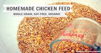 Organic Homemade Chicken Feed. - The Elliott Homestead