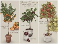 Preview: Dwarf Fruit Trees | Patreon