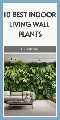 Transform your rooms into a lush, green oasis with the best indoor living wall plants. Get inspired with DIY ideas for creating beautiful hanging gardens that enhance your indoor decor. Perfect for adding a vibrant touch to any indoor space, these plants are ideal for those looking to bring a bit of nature indoors.