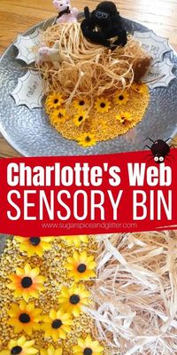 A fun hands-on way to teach adjectives to kids, perfect after reading or watching Charlotte's Web. This Charlotte's Web Sensory Bin is a fun twist on a classic farm sensory bin