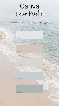 beach #canva #color #colorpalette