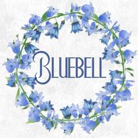 Bluebell